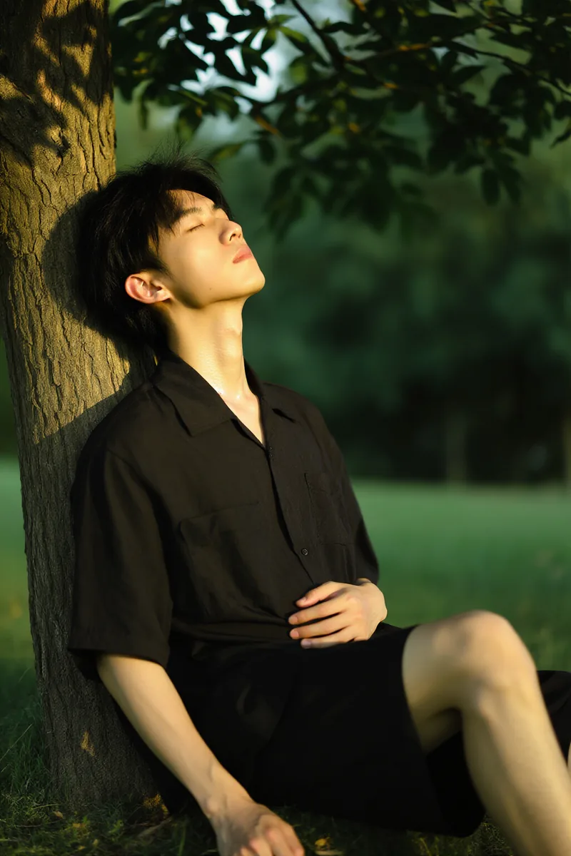 《《忧郁的少年》》小说封面